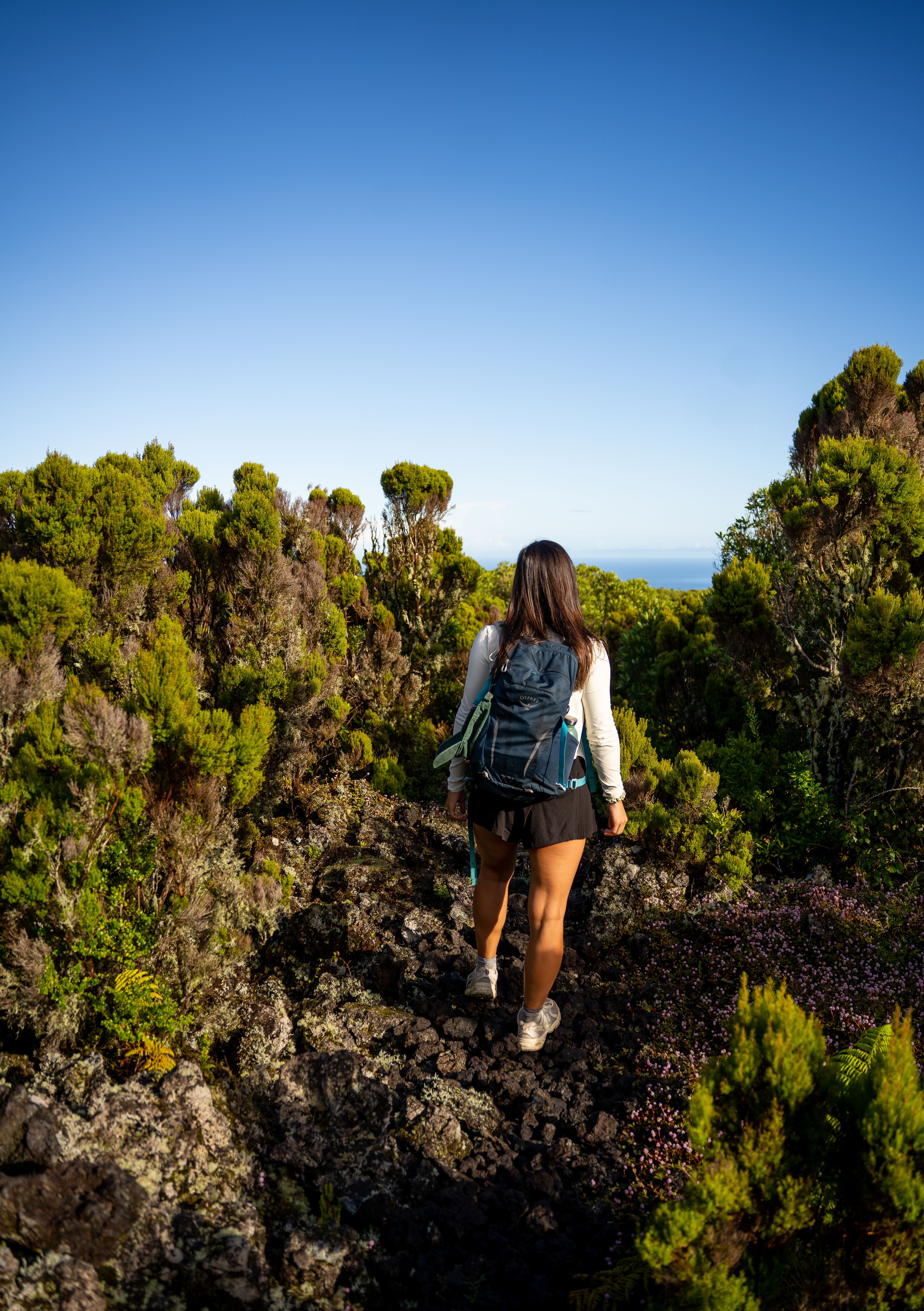 👖 ON MET EN PAUSE NOS DONS DE VÊTEMENTS 👕 Nous vous remercions mille fois  pour vos partages et votre générosité, grâce à vous, nous aurons de quoi  habiller nos usagers pour, image size:4000x5675